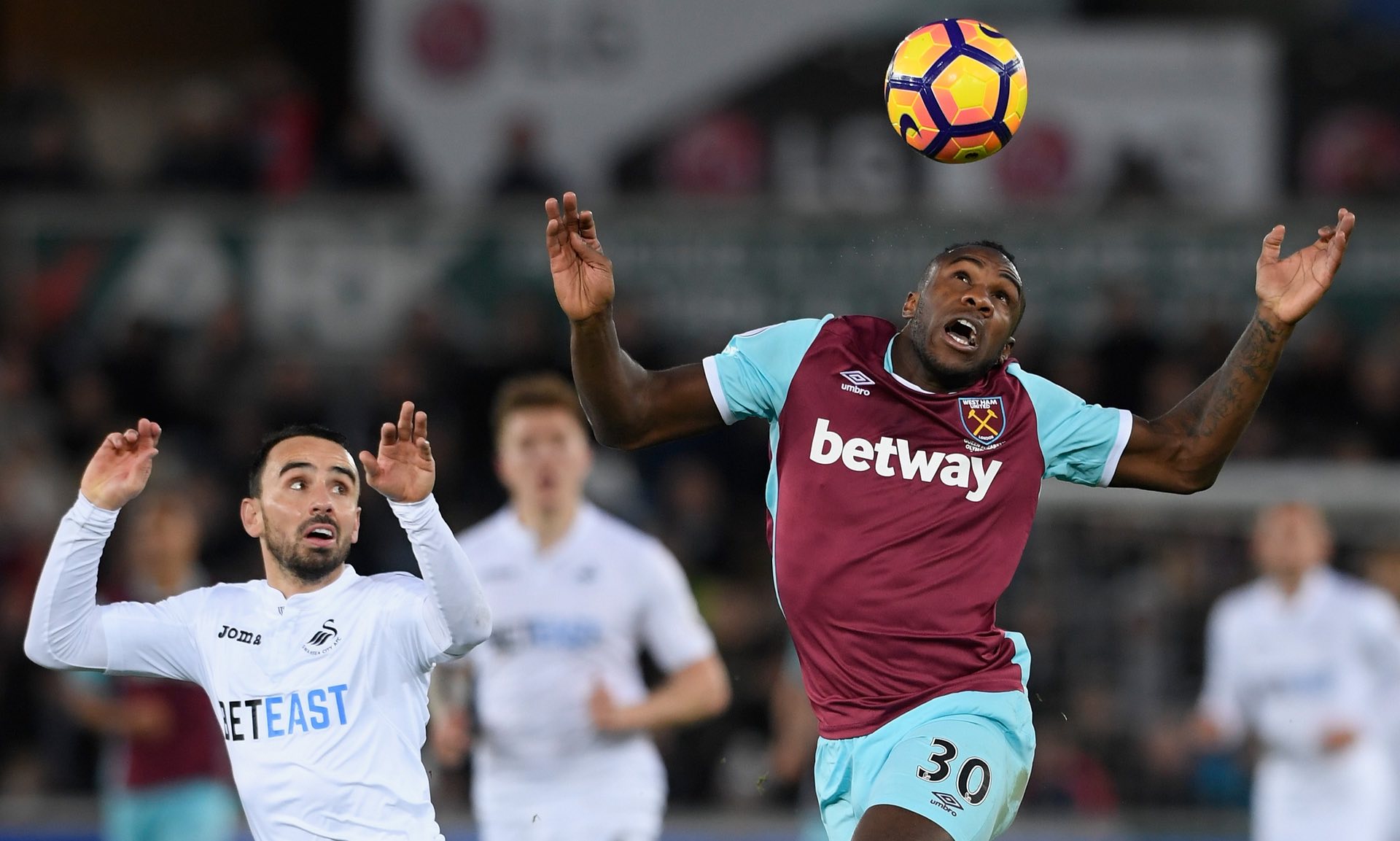 这一行动不 这一行动不